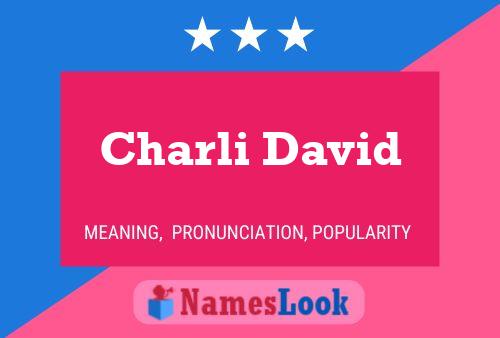 Charli David Namensposter