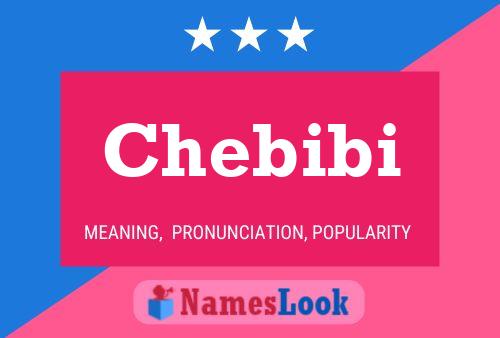 Chebibi Namensposter