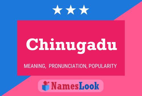 Chinugadu Namensposter