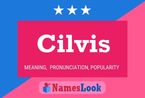 Cilvis Namensposter