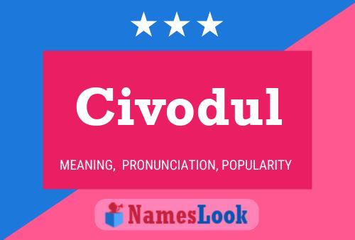 Civodul Namensposter