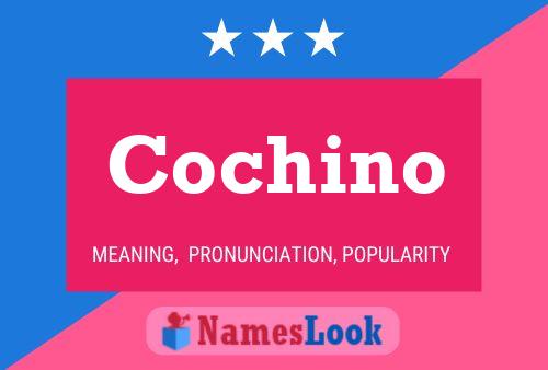 Cochino Namensposter