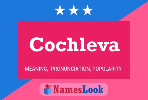 Cochleva Namensposter