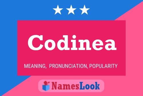 Codinea Namensposter