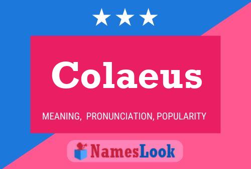 Colaeus Namensposter