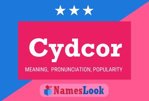 Cydcor Namensposter