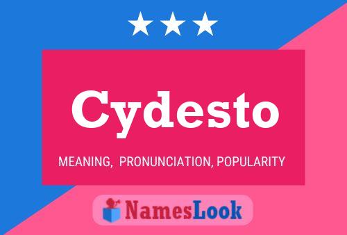 Cydesto Namensposter