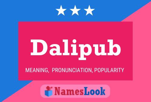 Dalipub Namensposter