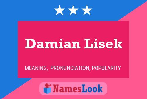 Damian Lisek Namensposter