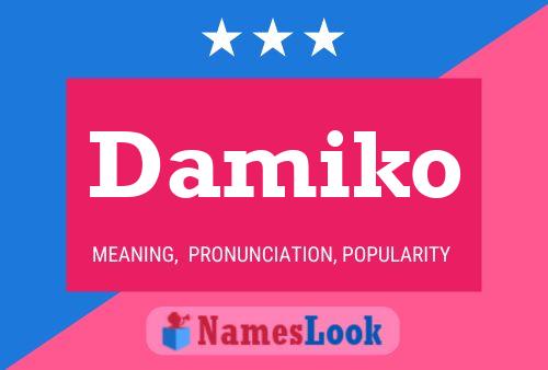 Damiko Namensposter