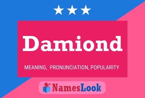 Damiond Namensposter