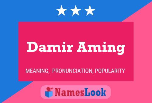 Damir Aming Namensposter