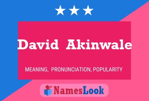 David  Akinwale Namensposter