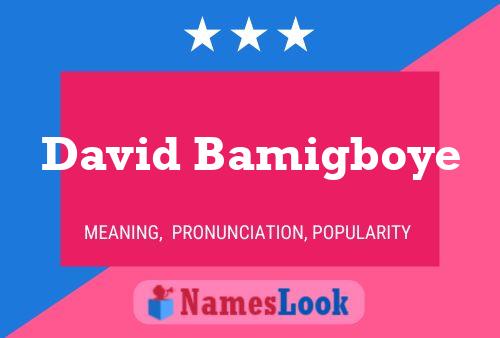 David Bamigboye Namensposter