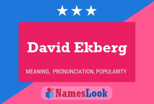 David Ekberg Namensposter