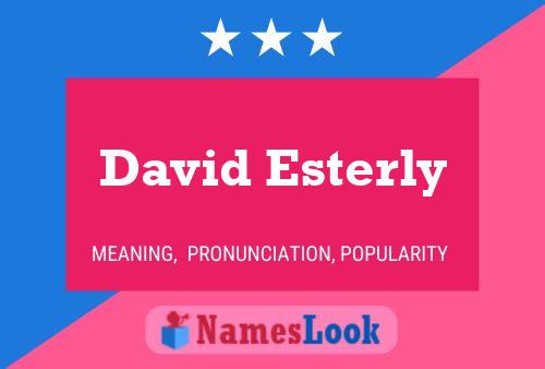 David Esterly Namensposter