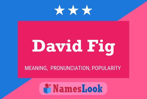 David Fig Namensposter