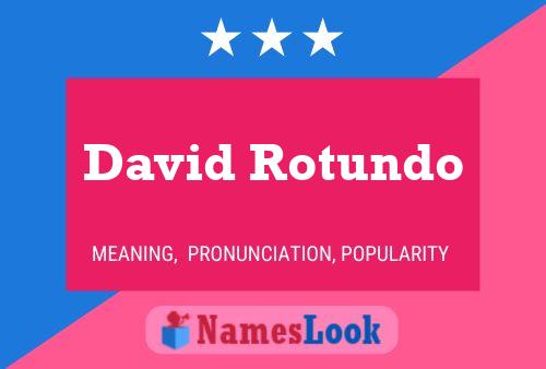 David Rotundo Namensposter