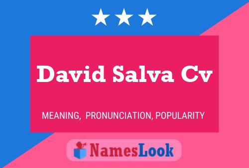 David Salva Cv Namensposter