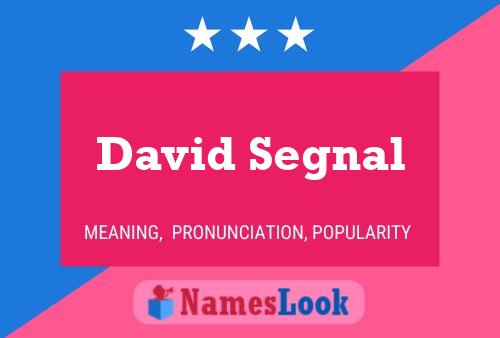 David Segnal Namensposter