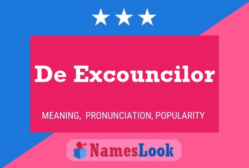 De Excouncilor Namensposter