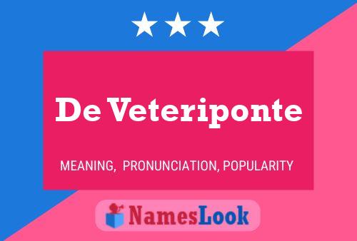 De Veteriponte Namensposter