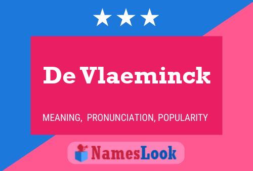 De Vlaeminck Namensposter