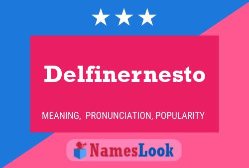 Delfinernesto Namensposter