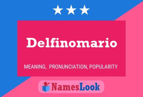 Delfinomario Namensposter