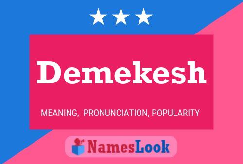 Demekesh Namensposter