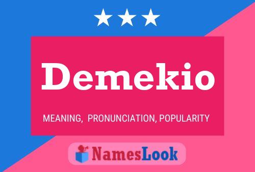 Demekio Namensposter