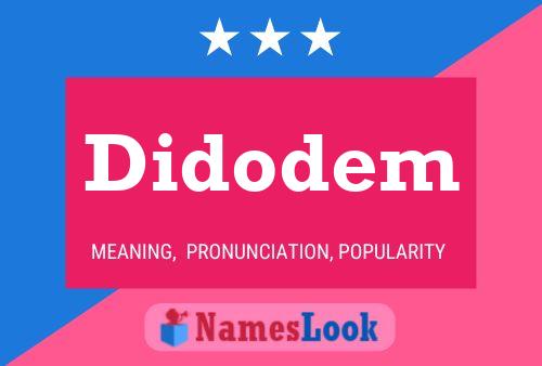 Didodem Namensposter