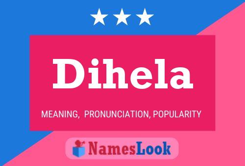 Dihela Namensposter