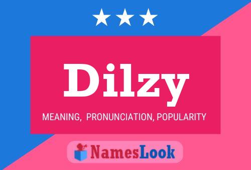 Dilzy Namensposter