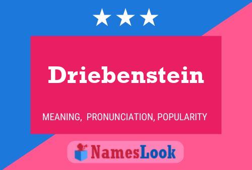 Driebenstein Namensposter