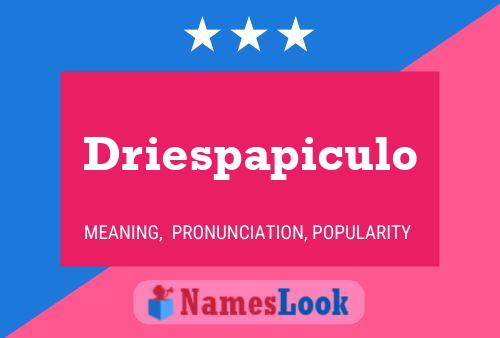 Driespapiculo Namensposter