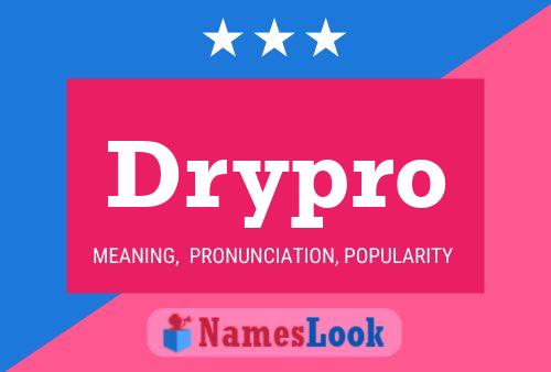 Drypro Namensposter