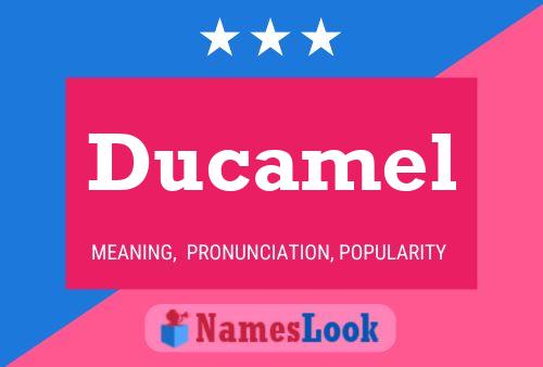 Ducamel Namensposter