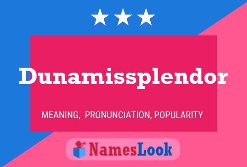 Dunamissplendor Namensposter