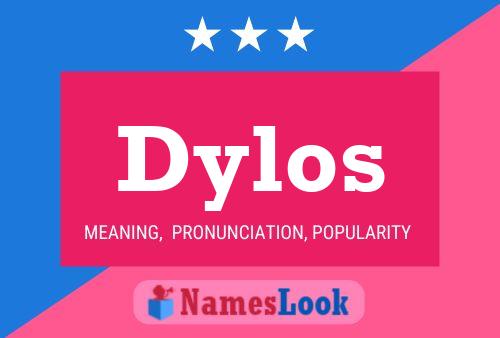 Dylos Namensposter