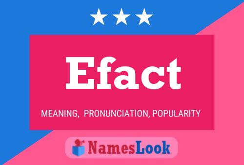 Efact Namensposter