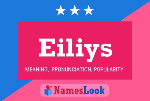 Eiliys Namensposter