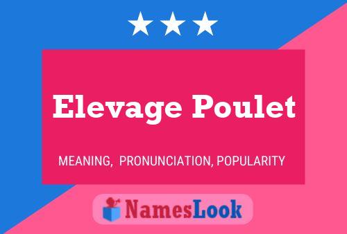 Elevage Poulet Namensposter