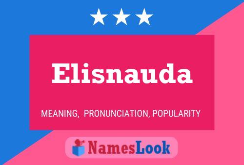 Elisnauda Namensposter