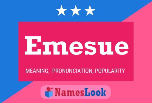 Emesue Namensposter