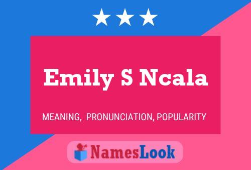 Emily S Ncala Namensposter