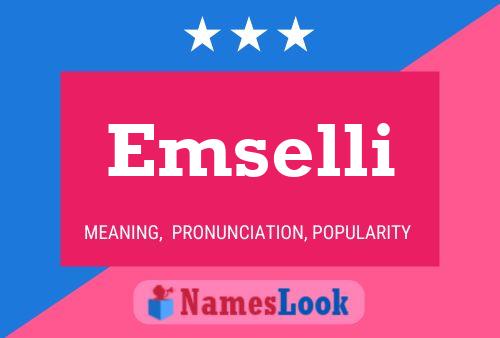 Emselli Namensposter