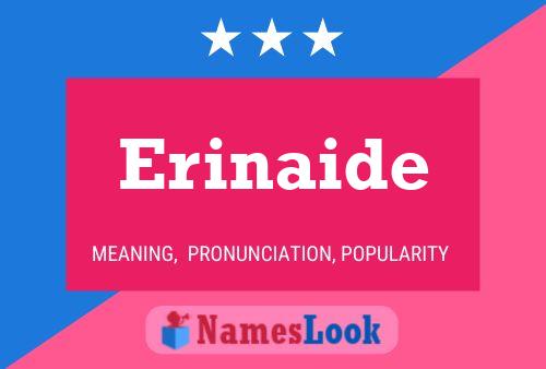 Erinaide Namensposter