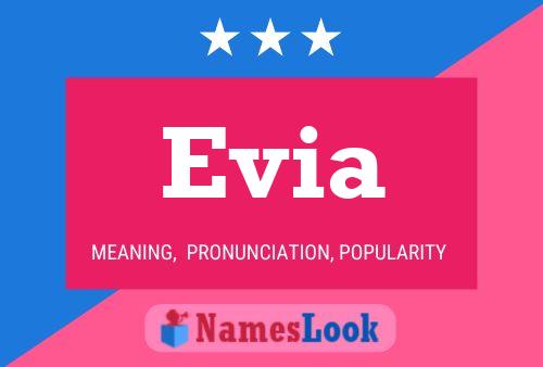 Evia Namensposter