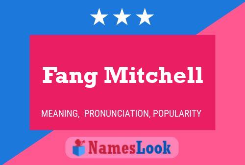 Fang Mitchell Namensposter